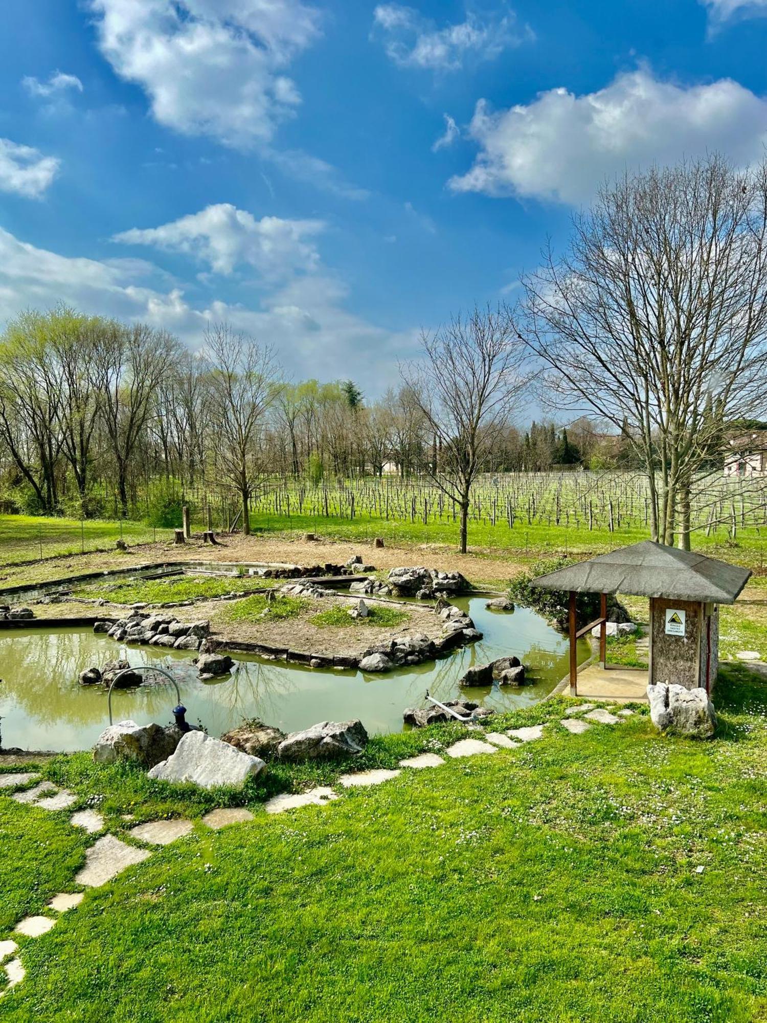 Villa Saten Pavia di Udine Luaran gambar